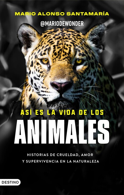 CHAO