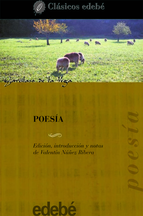 POESIA