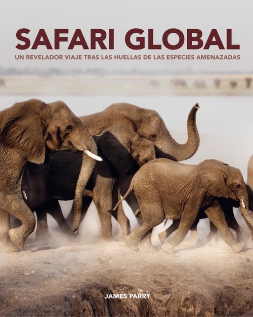 SAFARI GLOBAL