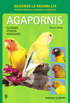 AGAPORNIS CUIDADOS CRIANZA VARIEDADES