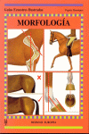 MORFOLOGIA