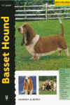 BASSET HOUND