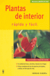 PLANTAS DE INTERIOR RAPIDO