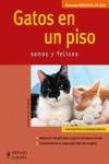 GATOS EN UN PISO