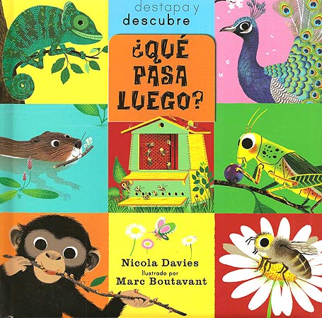 QUE PASA LUEGO