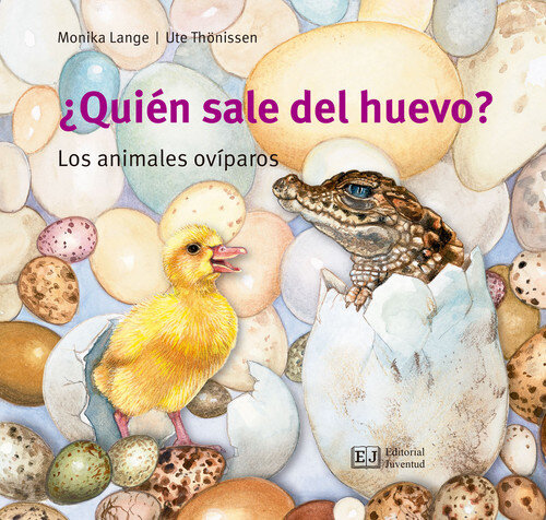 QUIEN SALE DEL HUEVO