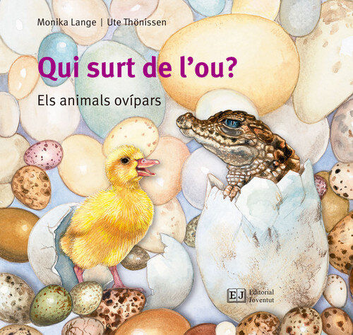 QUI SURT DE L'OU