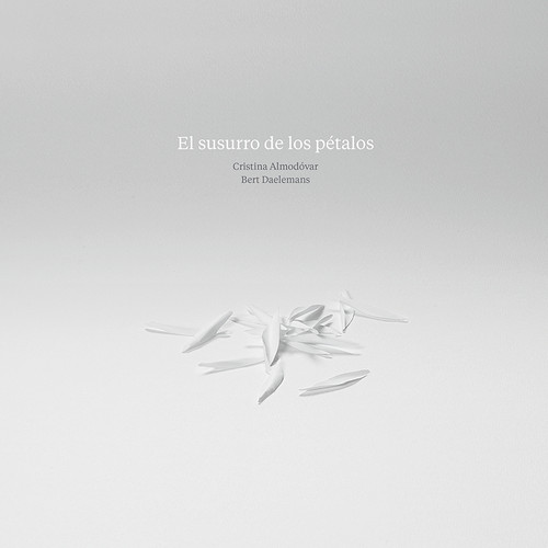 VIA CRUCIS. BRILLE LA LUZ DE SU ROSTRO
