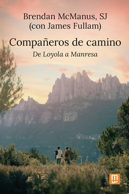 COMPAEROS DE CAMINO