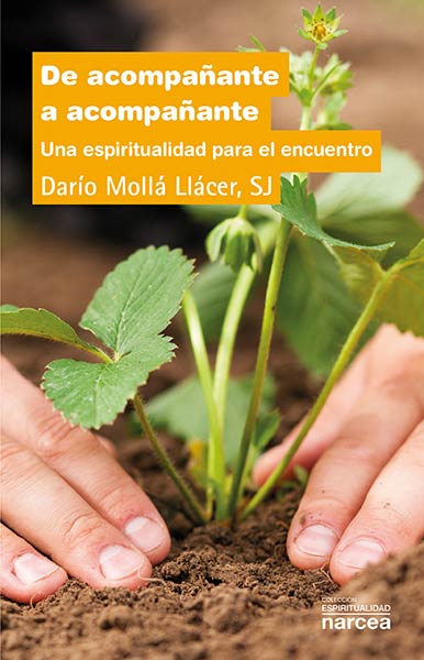 PEDRO ARRUPE, CARISMA DE IGNACIO