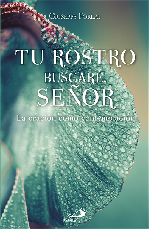 TU ROSTRO BUSCARE, SEOR