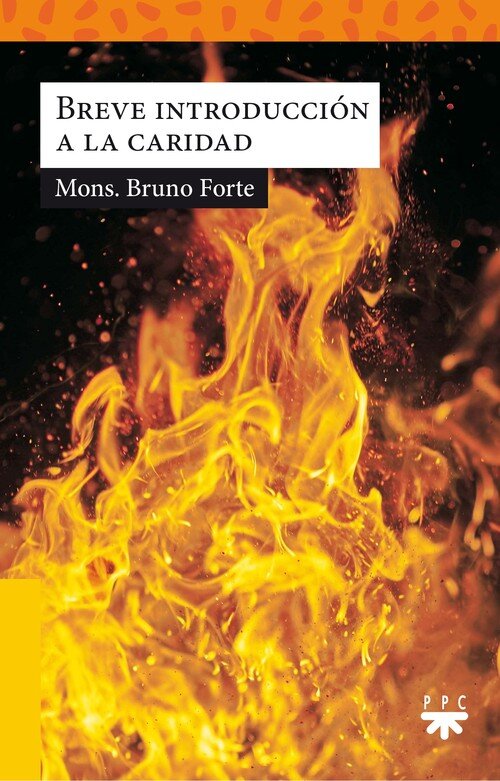 BREVE INTRODUCCION A LA CARIDAD