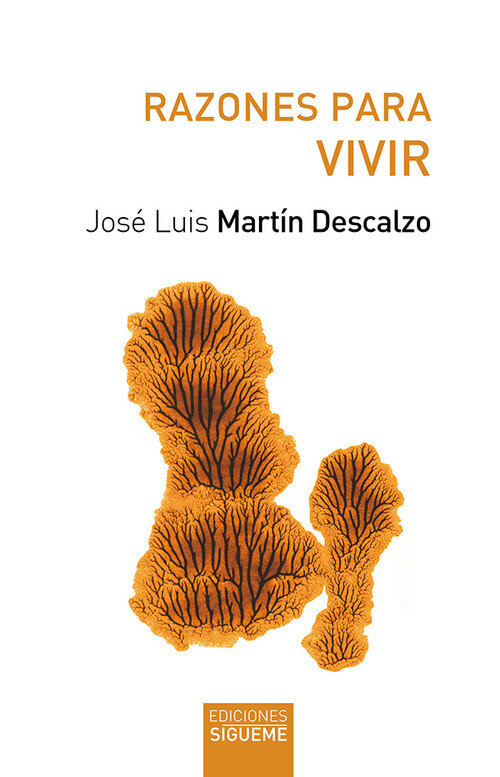 VIDA Y MISTERIO DE JESUS DE NAZARET OC