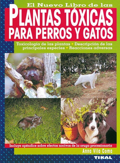 YORKSHIRE TERRIER-GRAN LIBRO