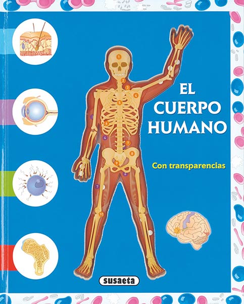 CUERPO HUMANO CON TRANSPARENCIAS