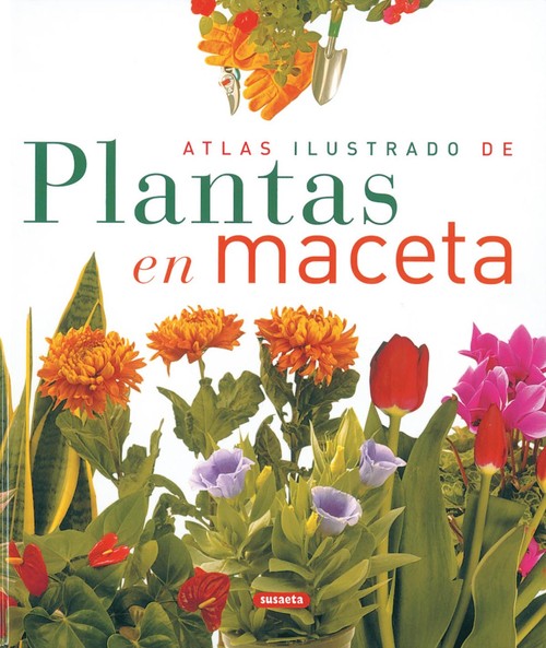 PLANTAS EN MACETA