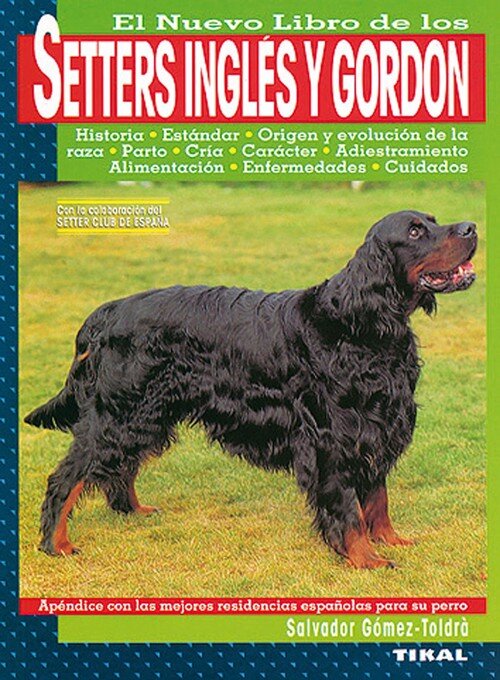 SETTERS INGLES Y GORDON-NUEVO LIBRO DE