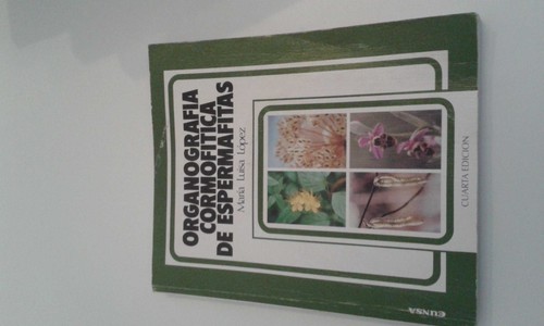 ORGANOGRAFIA CORMOFITICA DE ESPERMAFITAS