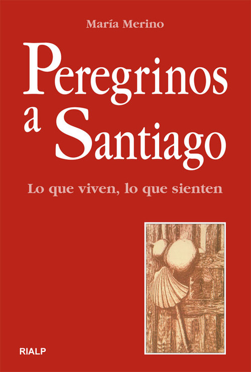 PEREGRINOS A SANTIAGO LO QUE VIVEN LO QUE SIENTEN