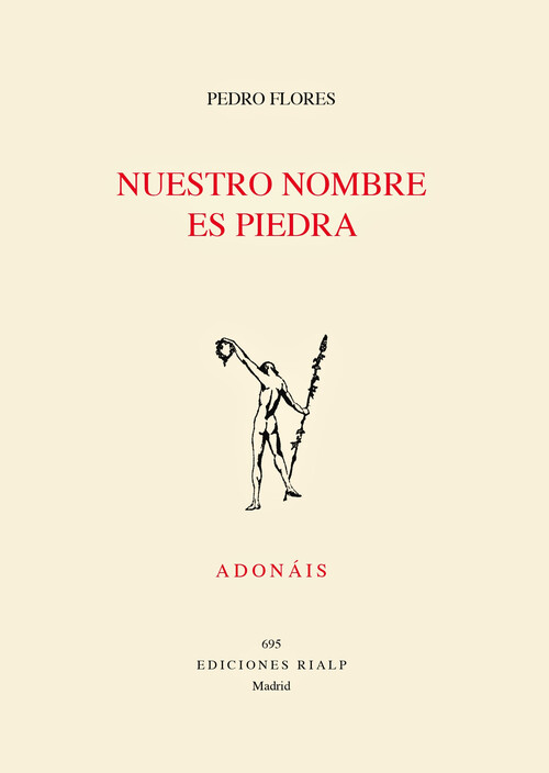 A VECES LA POESIA ES UN DESGUACE A LA ORILLA DE UNA CARRETER