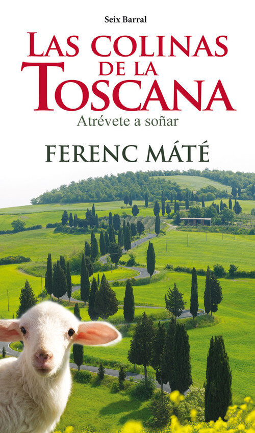 UN VI�EDO EN LA TOSCANA