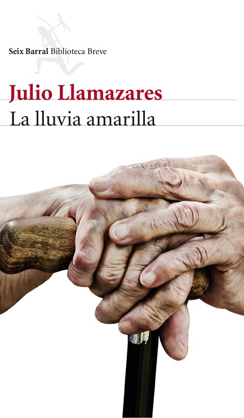LLUVIA AMARILLA,LA