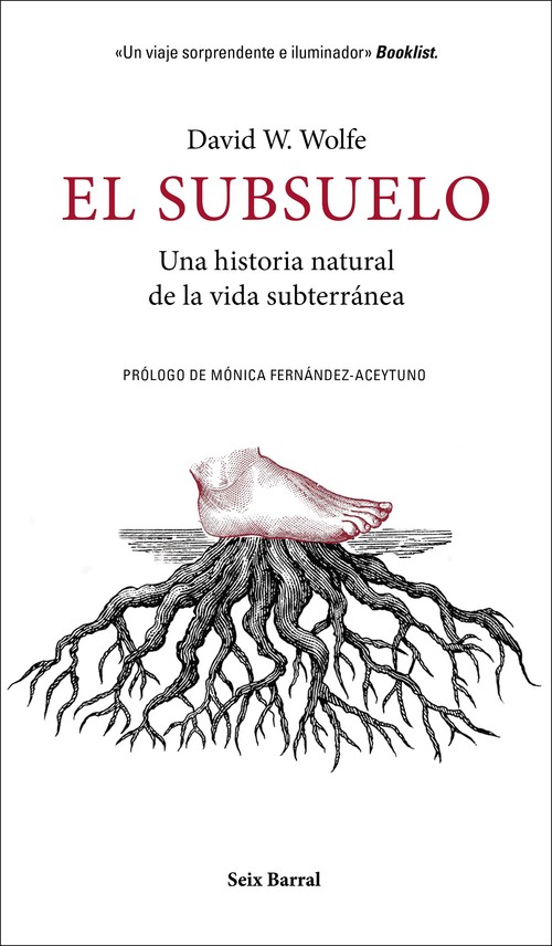 SUBSUELO, EL