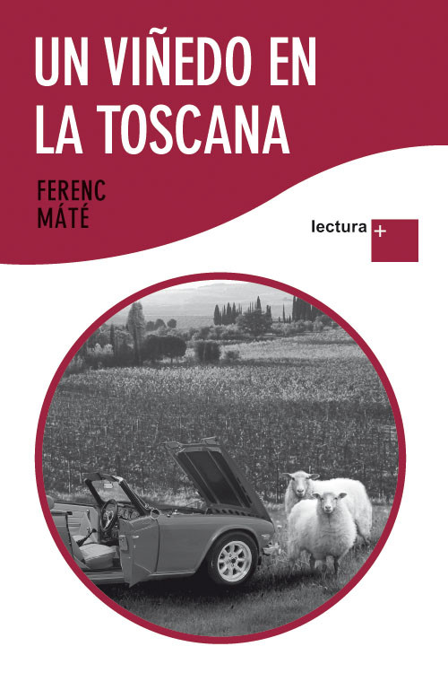 UN VI�EDO EN LA TOSCANA