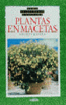 PLANTAS EN MACETAS CUID-PARA