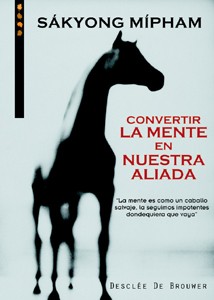 CORRER Y MEDITAR