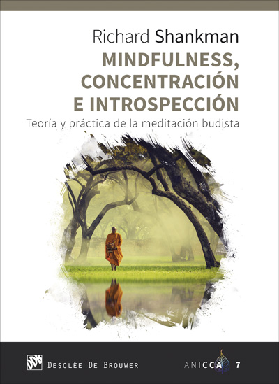MINDFULNESS, CONCENTRACION E INTROSPECCION. TEORIA Y PRACTI