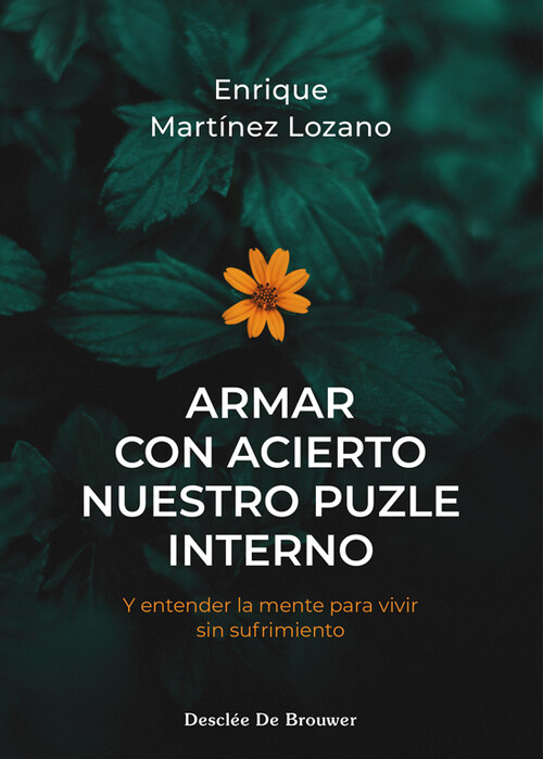 ARMAR CON ACIERTO NUESTRO PUZLE INTERNO