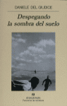 DESPEGANDO LA SOMBRA DEL SUELO