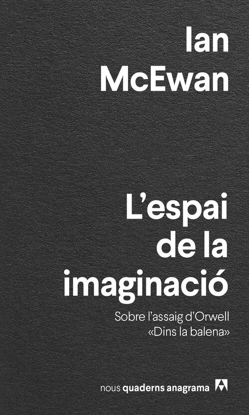 L'ESPAI DE LA IMAGINACIO
