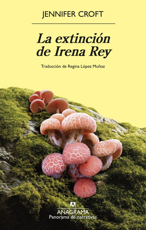 EXTINCION DE IRENA REY, LA