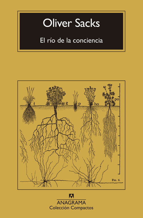 RIO DE LA CONCIENCIA, EL