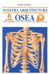 NUESTRA AQUITECTURA OSEA
