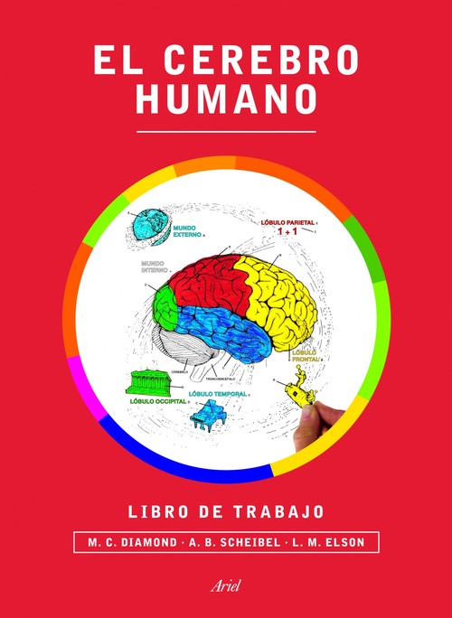 CEREBRO HUMANO. LIBRO DE TRABAJO, EL