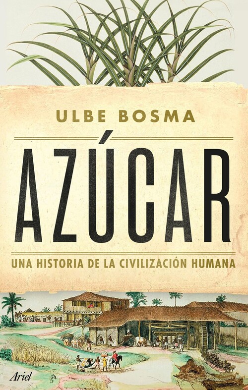 AZUCAR