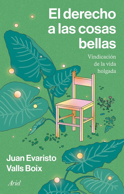 DERECHO A LAS COSAS BELLAS, EL