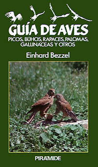 GUIA DE AVES-PIRAMIDE