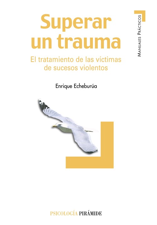 SUPERAR UN TRAUMA-PIRAMIDE