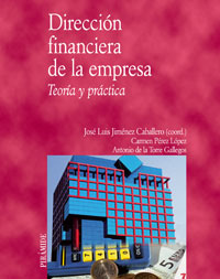 DIRECCION FINANCIERA EMPRESA-TEORIA,PRAC