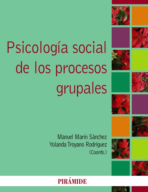 PSICOLOGIA SOCIAL DE LOS PROCESOS GRUPALES