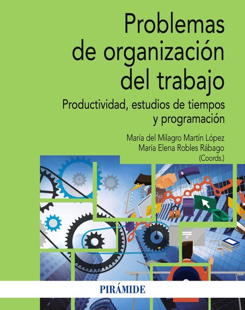 PROBLEMAS DE ORGANIZACION DEL TRABAJO