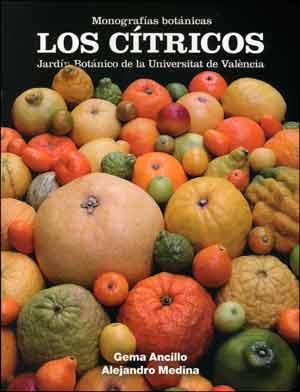 CITRICOS,LOS