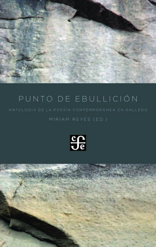PUNTO DE EBULLICION-ANTOLOGIA POESIA GALLEGA CONTEMPORANEA