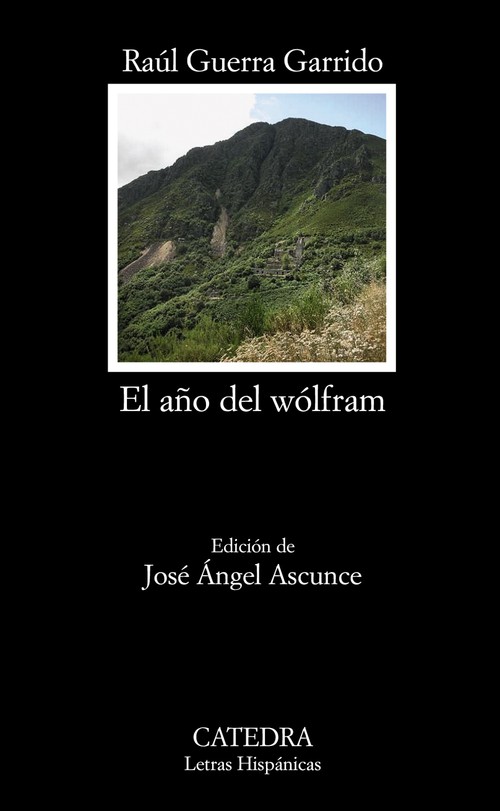 A�O DEL WOLFRAM,EL