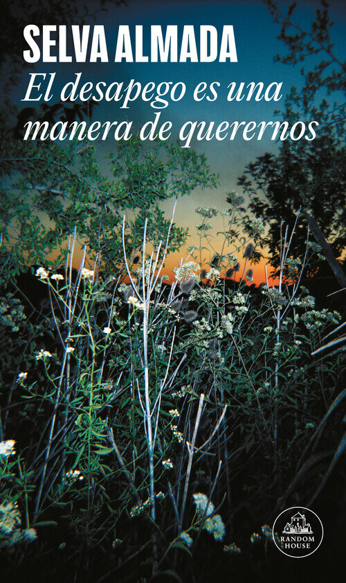 DESAPEGO ES UNA MANERA DE QUERERNOS, EL (MAPA DE LAS LENGUAS