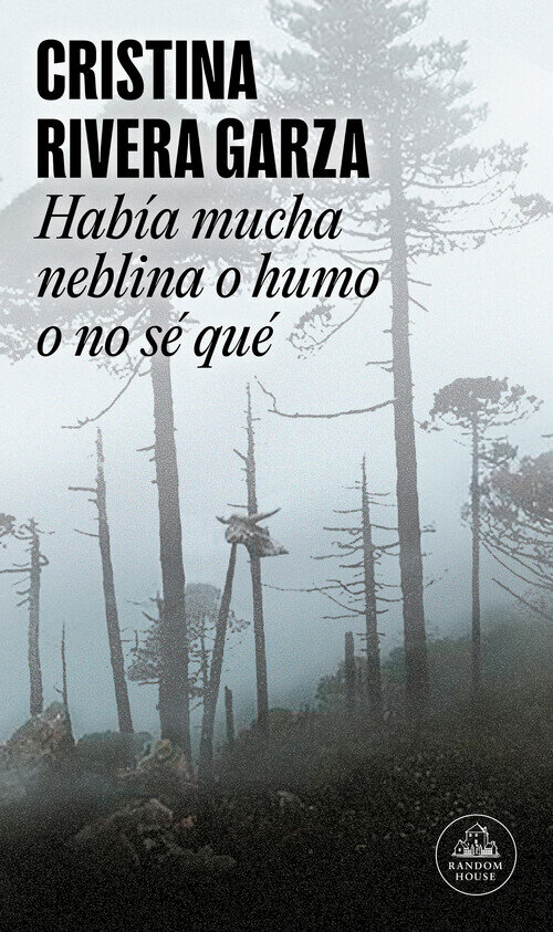 HABIA MUCHA NEBLINA O HUMO O NO SE QUE (MAPA DE LAS LENGUAS)